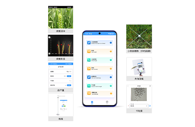 虹口区小麦表型检测仪IN-XM04