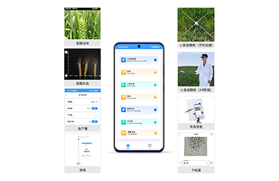 虹口区小麦表型测量仪IN-XM05